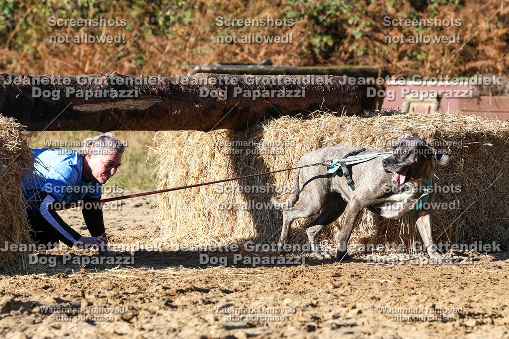 Dog Paparazzi - Strongdog 10-25-1613 | Dog Paparazzi Jeanette Grottendiek Fotografie & Videografie - Realisiert mit Pictrs.com