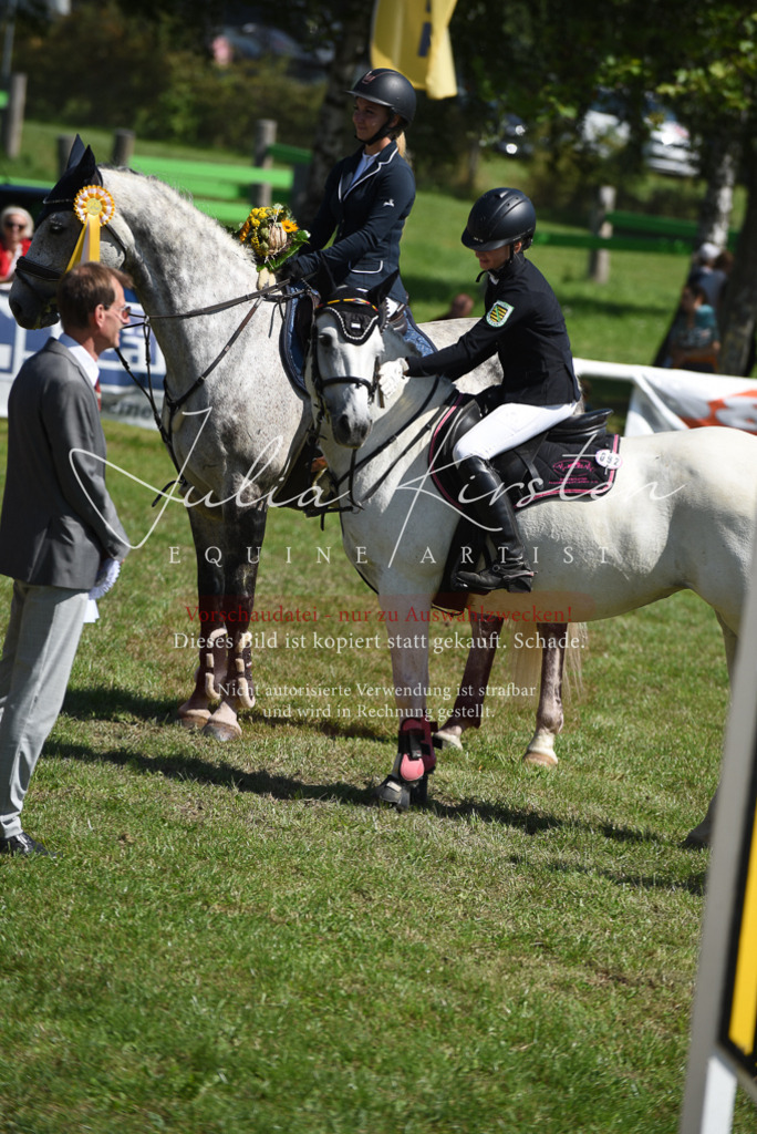 DSC_9644 | Pferde- und Turnierfotografie in Westsachsen. Pferdeportraits, Auftragszeichnungen und intuitive Kunst.