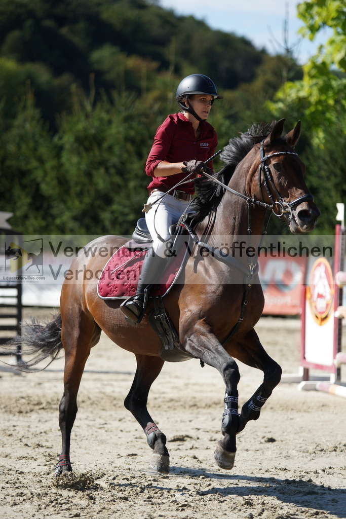 DSC01650 | equestrian-live-com