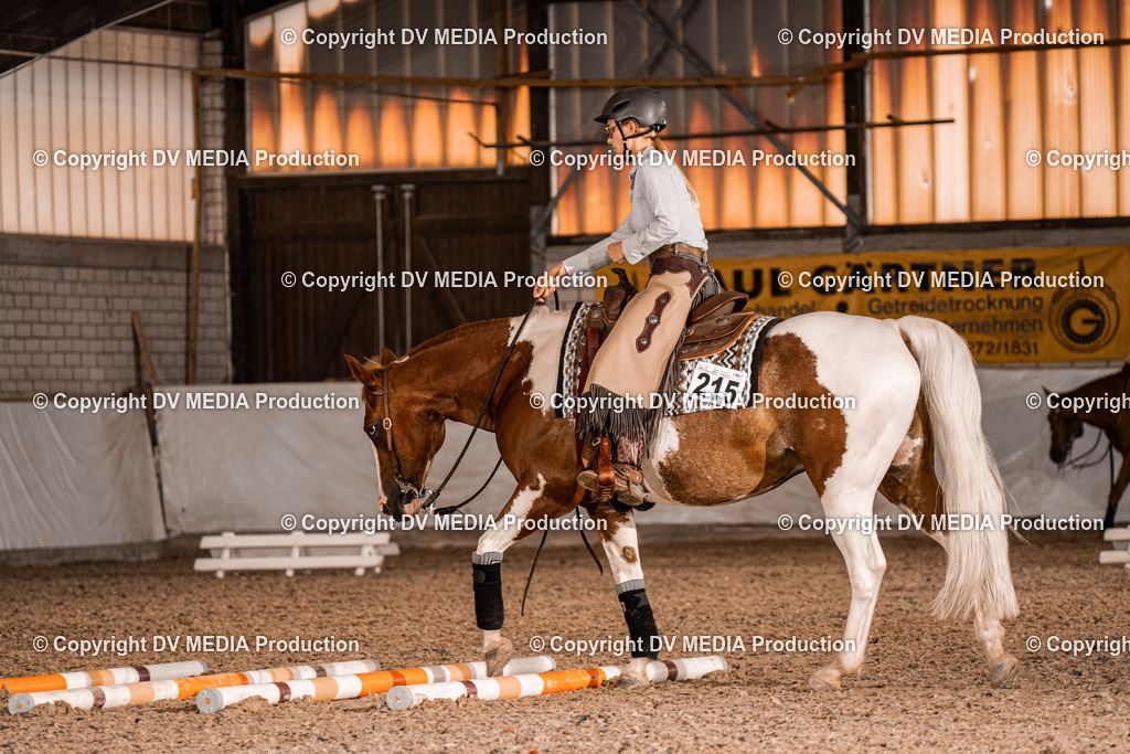 ZH300147 | dv-media-shop - Realisiert mit Pictrs.com