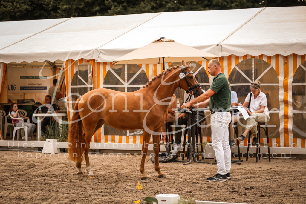 10.So00058 | Leoni Ertmer Photography - Realisiert mit Pictrs.com