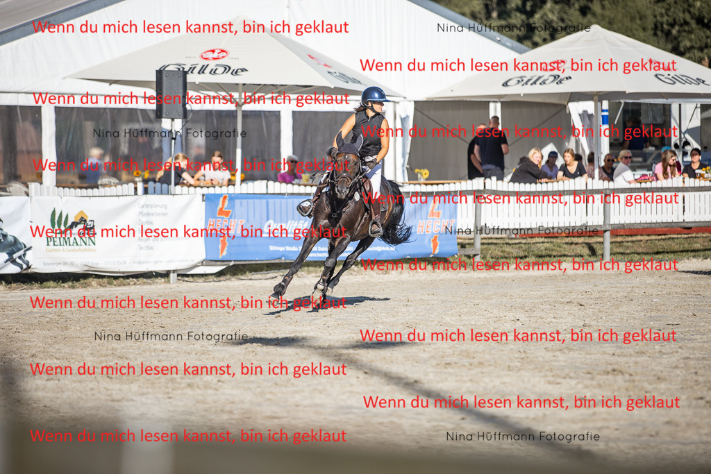 BK1A7655 | Turnierbilder Turnierfotos Nina Hüffmann Turnierfotografie Pferdefotografie Tierzeichnung Haustierzeichnung Pferdezeichnung Hundezeichnung Videograf  - Realisiert mit Pictrs.com