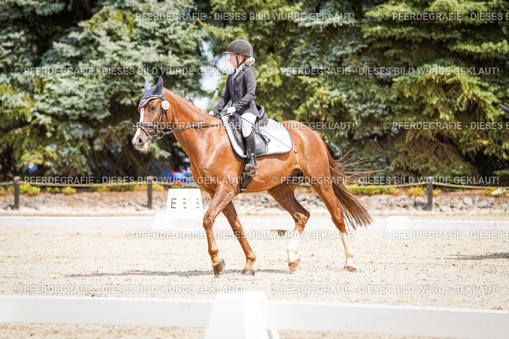 DSC03334 | Pferdegrafie