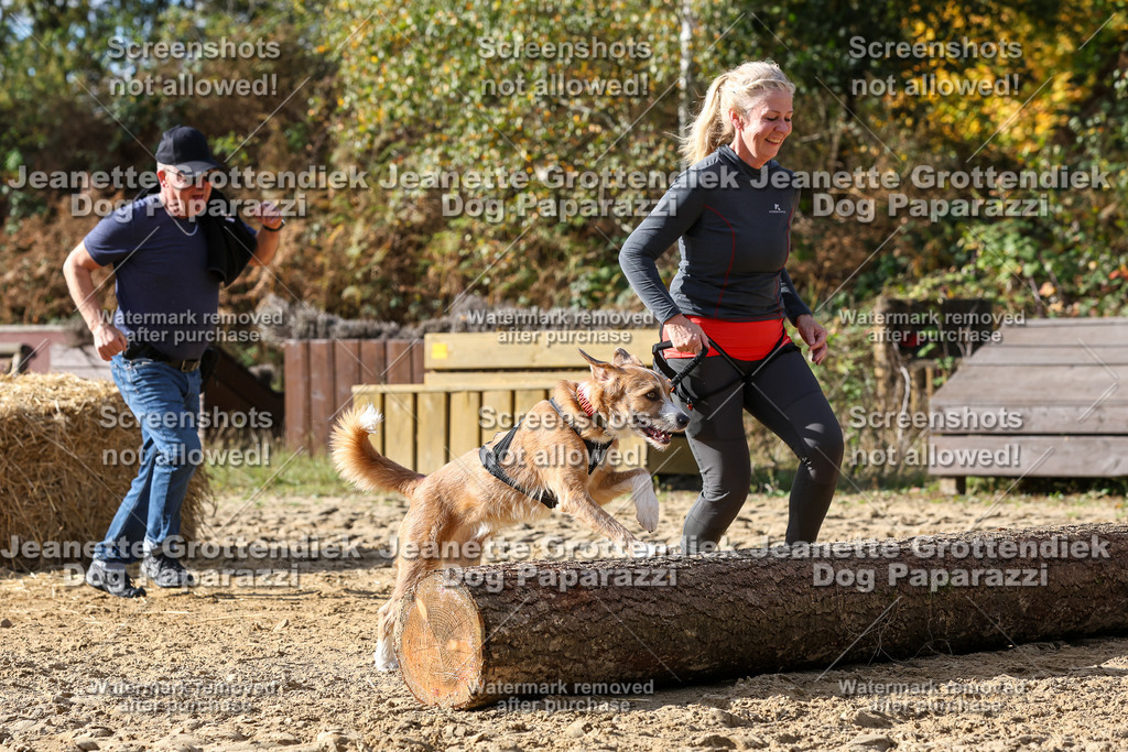 Dog Paparazzi - Strongdog 10-25-5635 | Dog Paparazzi Jeanette Grottendiek Fotografie & Videografie - Realisiert mit Pictrs.com