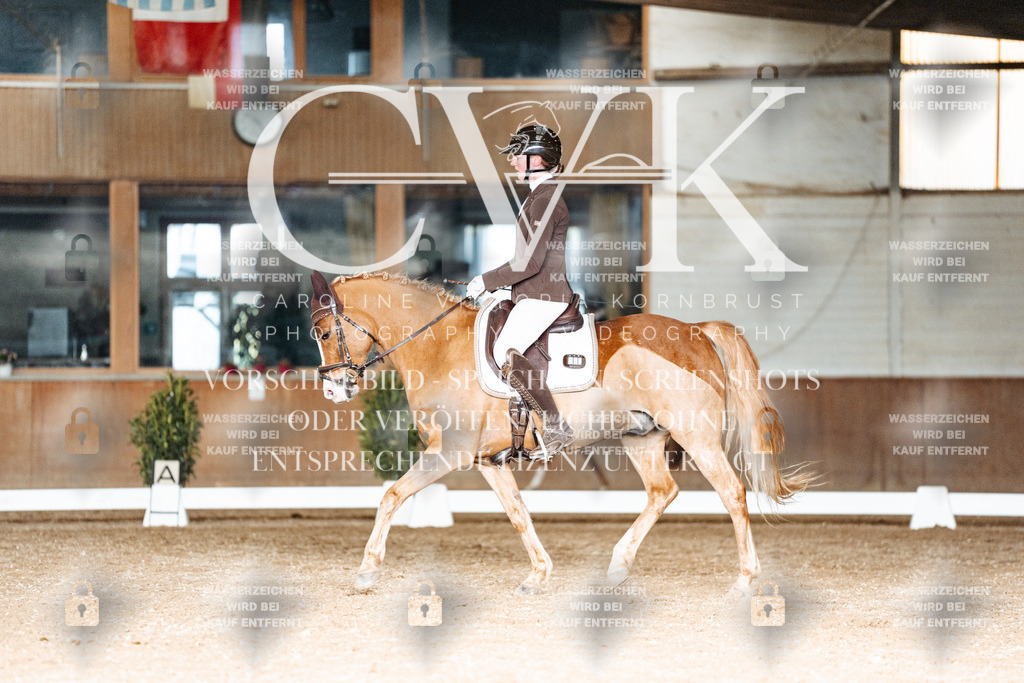 CK902910 | Turnierfotografie Pferdefotografie Trier Rheinland-Pfalz Pferdesport Reitsport Tierfotografie Sportfotografie Pferdevideo Pferdevideografie Equestrianvideography equestrianphotography  - Realisiert mit Pictrs.com