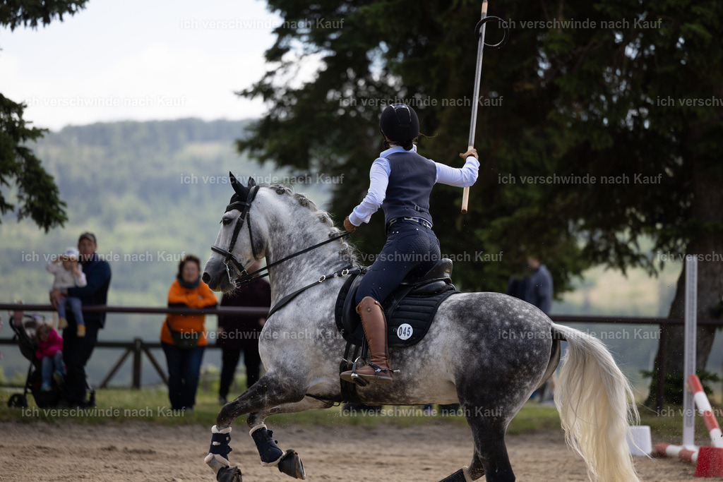Masterclass_stoibphotography_C2_C8358.CR3 | working equitationturnier fotograf videograf stoibphotography marixx film working equitation deutschland reitsport turnierfotografie eventfotografie equestrian events