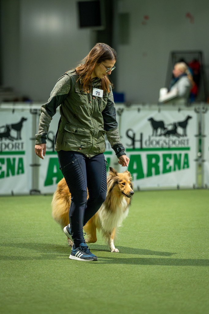 allesWIRTHgut Tierfotografie - 7IV09767-Verbessert-RR | Professionelle Tierfotografie in Mönchengladbach von Daniel Wirth (allesWIRTHgut). Liebevolle & natürliche Bilder von Hunden & Katzen für unvergessliche Erinnerungen.