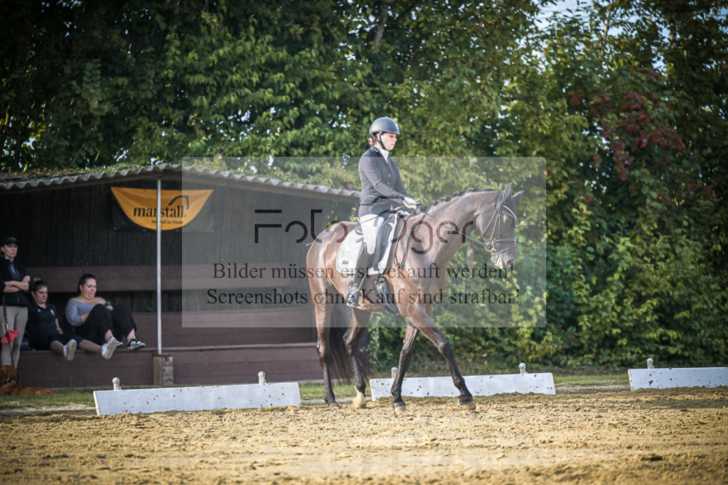 DOS_1035 | Entdecke hochwertige Reitturnierfotos von Foto Oger. Professionell, emotional und authentisch – jetzt Lieblingsmomente im Shop bestellen.Deutschlandweite Turnierfotografie. - Realisiert mit Pictrs.com