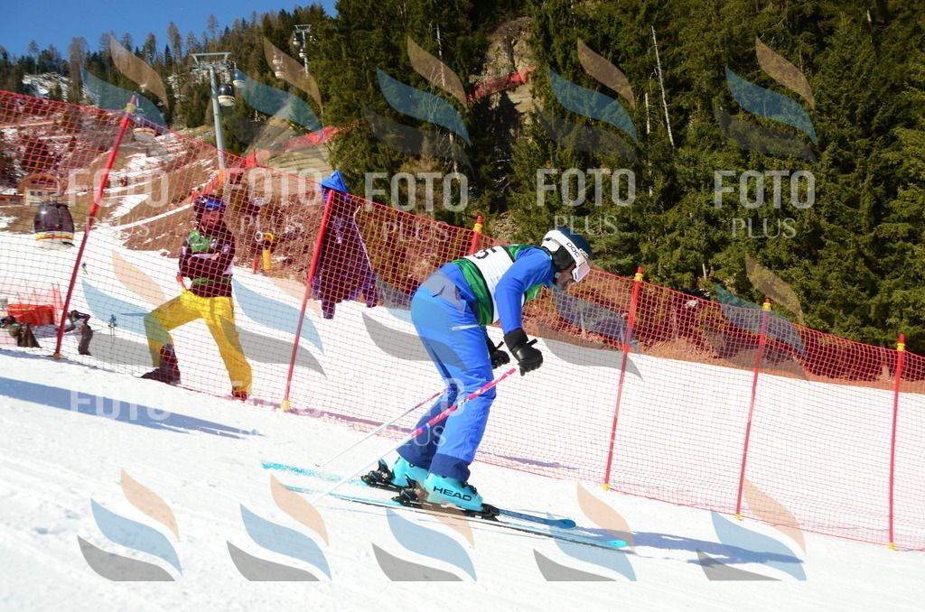 C6455 | holidayphoto