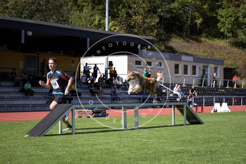Pfotenfotografie_DV3A8420 | Hundefotografie, Tierfotograf, Pfotenfotografie, Fotoshooting Hund, Hunde Portrait, Hundesport, Hundeportraits, Heideshooting, Hunde, Sportfotograf, Hundefotograf, Turnierhundsport, THS,  - Realisiert mit Pictrs.com
