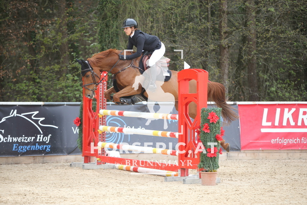 PP017960 | Willkommen bei Brunnmayr - Design & Fotografie – Ihrem Spezialisten für Reitturniere und Pferdeveranstaltungen in Oberösterreich, Salzburg und Bayern! Seit über 17 Jahren sind wir leidenschaftlich dabei.