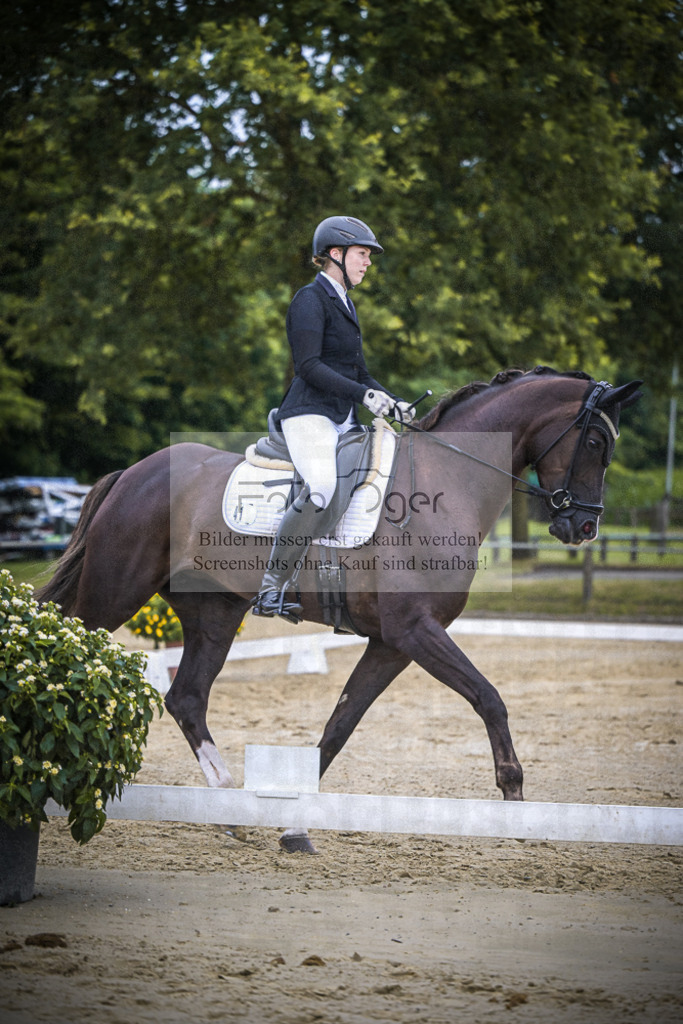 DOS_2145 | Entdecke hochwertige Reitturnierfotos von Foto Oger. Professionell, emotional und authentisch – jetzt Lieblingsmomente im Shop bestellen.Deutschlandweite Turnierfotografie. - Realisiert mit Pictrs.com