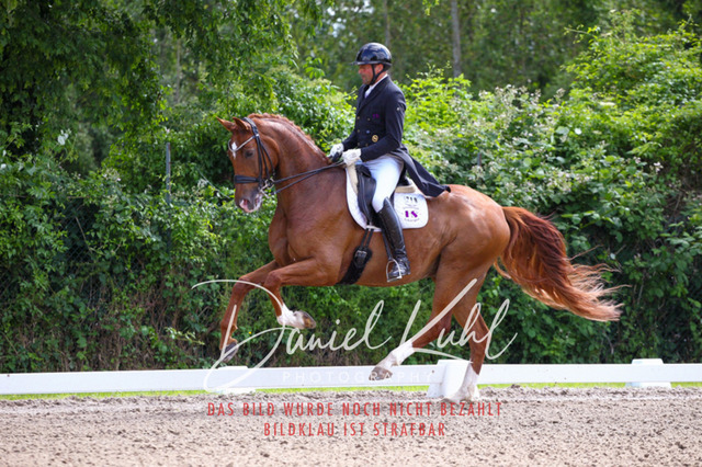 DKP41331 | Turnierfotos kaufen im Webshop von Daniel Kuhl Photography – entdecke professionelle Reitsportfotos aus Turnieren & Events. Hochwertige Turnierbilder online bestellen & sichern. Jetzt Fotos von Reitsportturnieren kaufen!