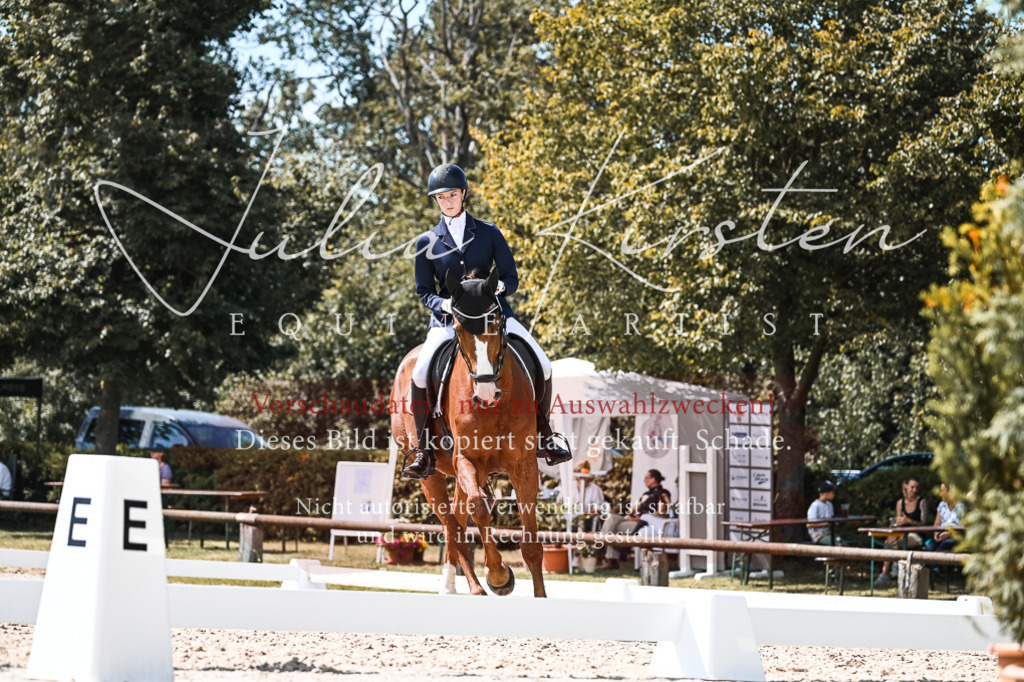 DSC_5536 | Pferde- und Turnierfotografie in Westsachsen. Pferdeportraits, Auftragszeichnungen und intuitive Kunst.