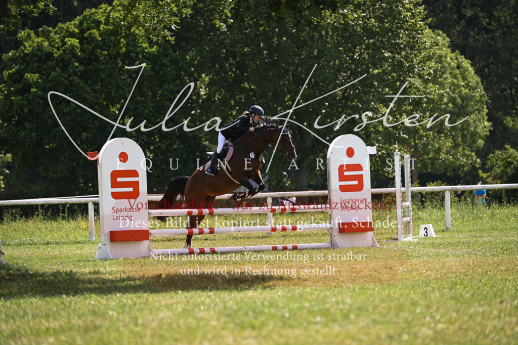 DSC_8999 | Pferde- und Turnierfotografie in Westsachsen. Pferdeportraits, Auftragszeichnungen und intuitive Kunst.