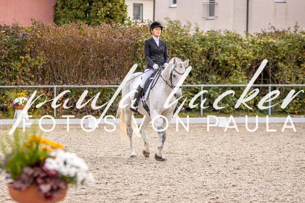 IMG_3089 | Erleben Sie dynamische Sport- und emotionale Tierfotografie in Süddeutschland mit Fotos von Paula. Spezialisiert auf Pferde- und Hundefotografie sowie Sportevents. Kontaktieren Sie mich für einzigartige und ausdrucksstarke Bilder Ihrer besonderen Momente.