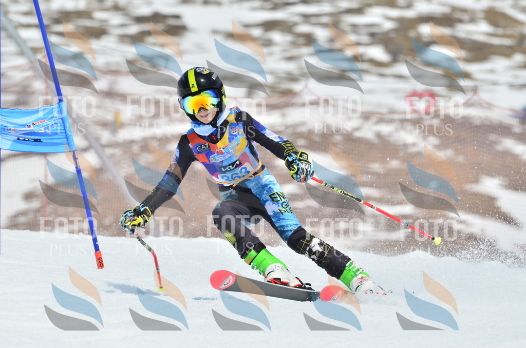 _ELE2893 | holidayphoto