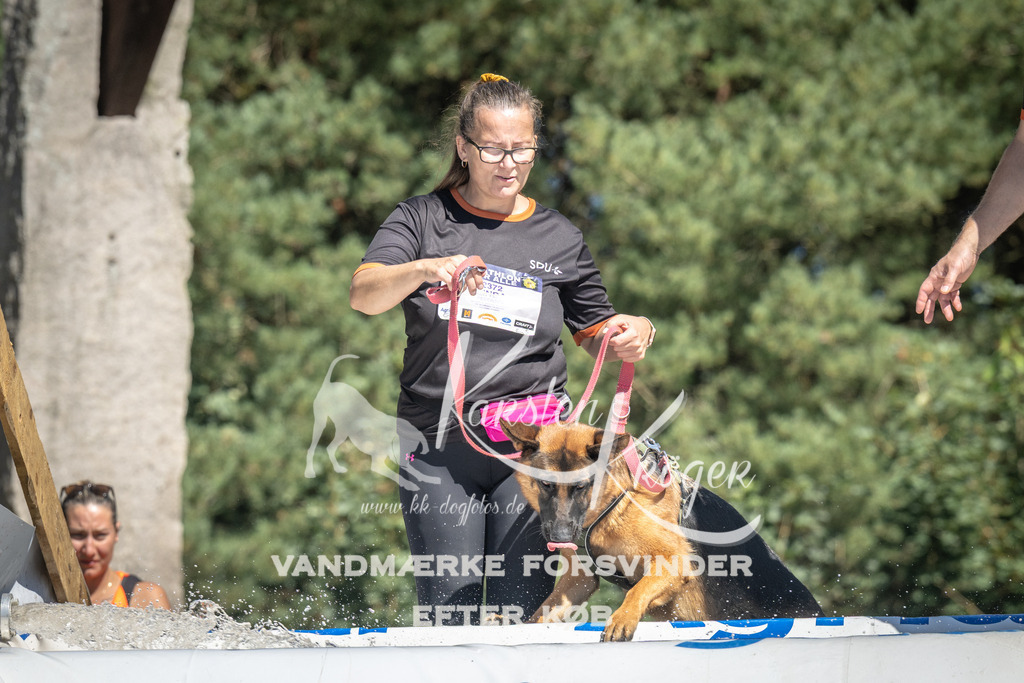 1318_ZZ99720 | kk-dogfotos