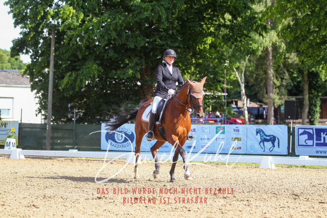 DKP41201 | Turniersportfotografie; Pferdefotografie; Dressurfotografie