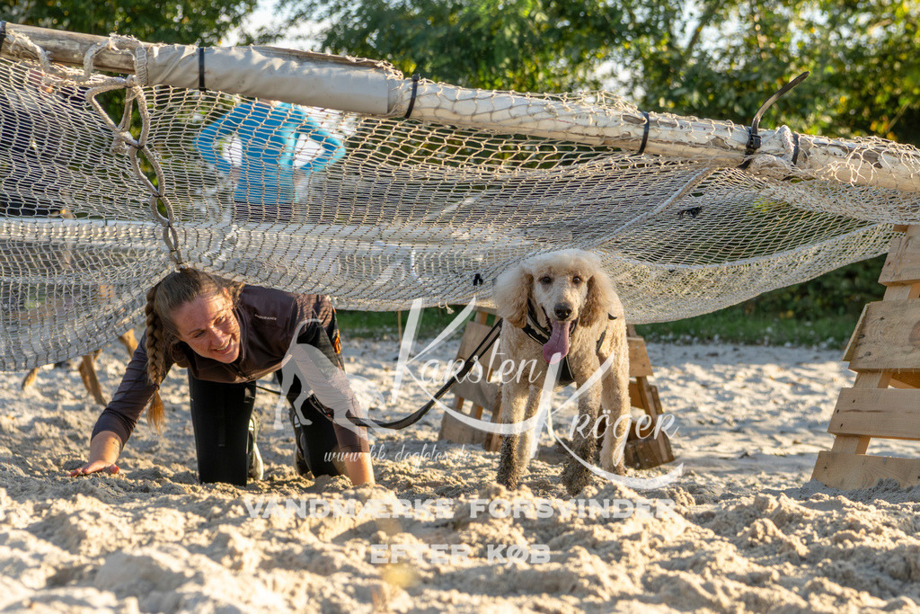 1653_ZZ90082 | kk-dogfotos