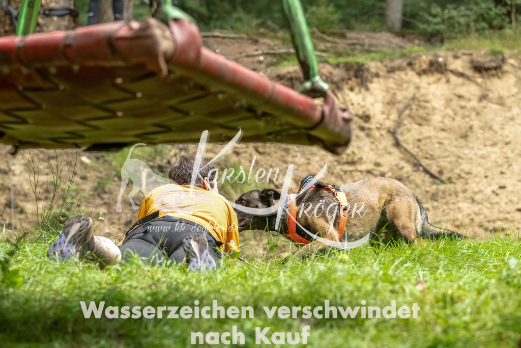 1150_ZZ90773-Bearbeitet | kk-dogfotos