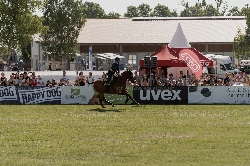 WE_MOS_Stoib_313_PI2025_2271 | Pferd International München 2025