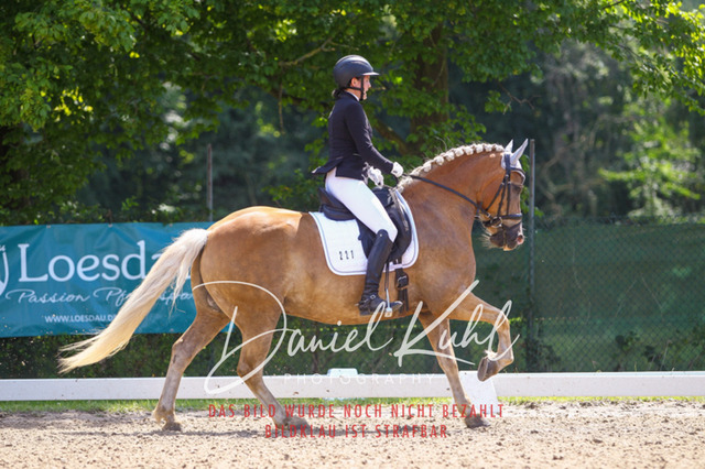 DKP42435 | Turniersportfotografie; Pferdefotografie; Dressurfotografie