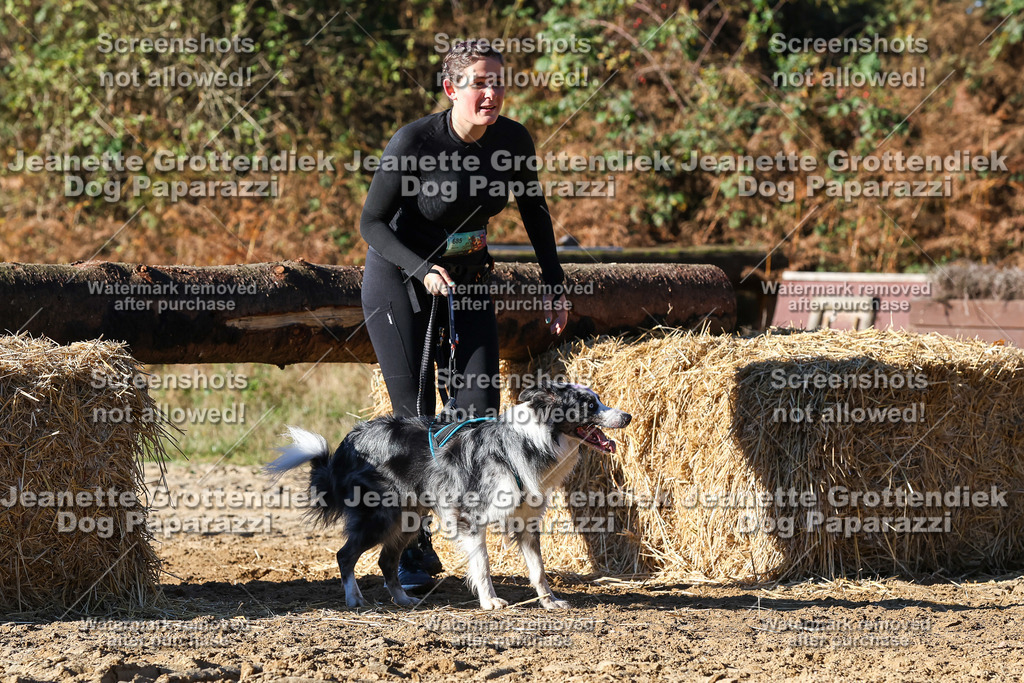 Dog Paparazzi - Strongdog 10-25-1979 | Dog Paparazzi Jeanette Grottendiek Fotografie & Videografie - Realisiert mit Pictrs.com