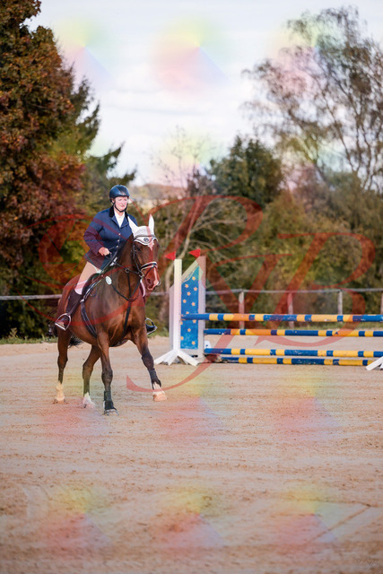 2026_10_03_Siefer-Hof_170338_Z81_00257164 | Professionelle Reitsport-, Turnier- und Eventfotografie von Robert Broda. Galerien mit ausgewählten und bearbeiteten Bildern direkt online ansehen und bestellen.