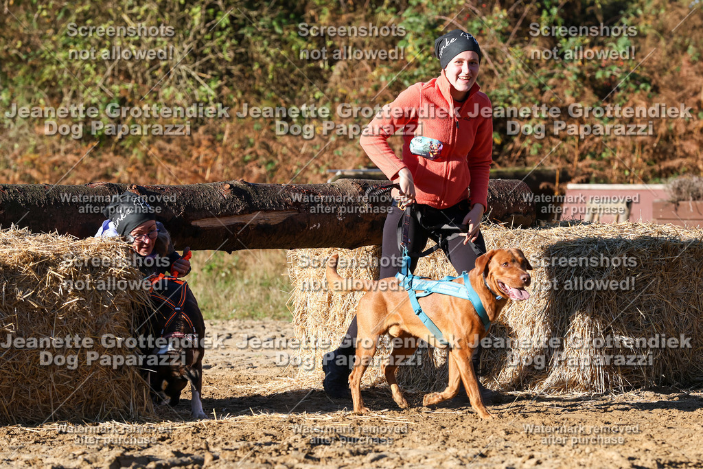 Dog Paparazzi - Strongdog 10-25-1385 | Dog Paparazzi Jeanette Grottendiek Fotografie & Videografie - Realisiert mit Pictrs.com