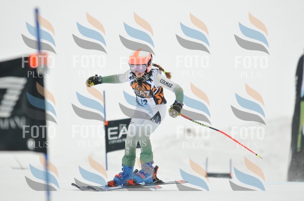 DSC_7397 | holidayphoto