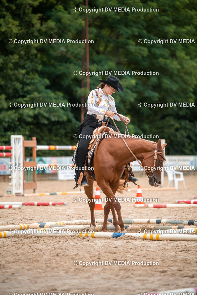 ZS2_8021 | dv-media-shop - Realisiert mit Pictrs.com