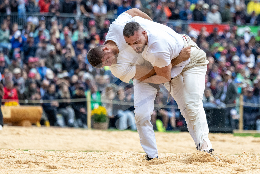 ESAF2025_01Gang_4800 | Die Schwinger des Schwyzer Kantonalen Schwingerverbandes: Fotos, die Dynamik und Leidenschaft festhalten, sowie emotionale Momente aus dem traditionellen Schwingsport zeigen. - Realisiert mit Pictrs.com