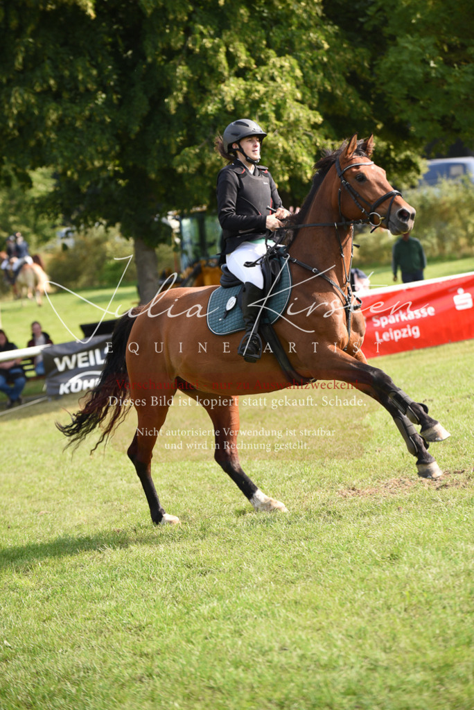 DSC_8829 | Pferde- und Turnierfotografie in Westsachsen. Pferdeportraits, Auftragszeichnungen und intuitive Kunst.