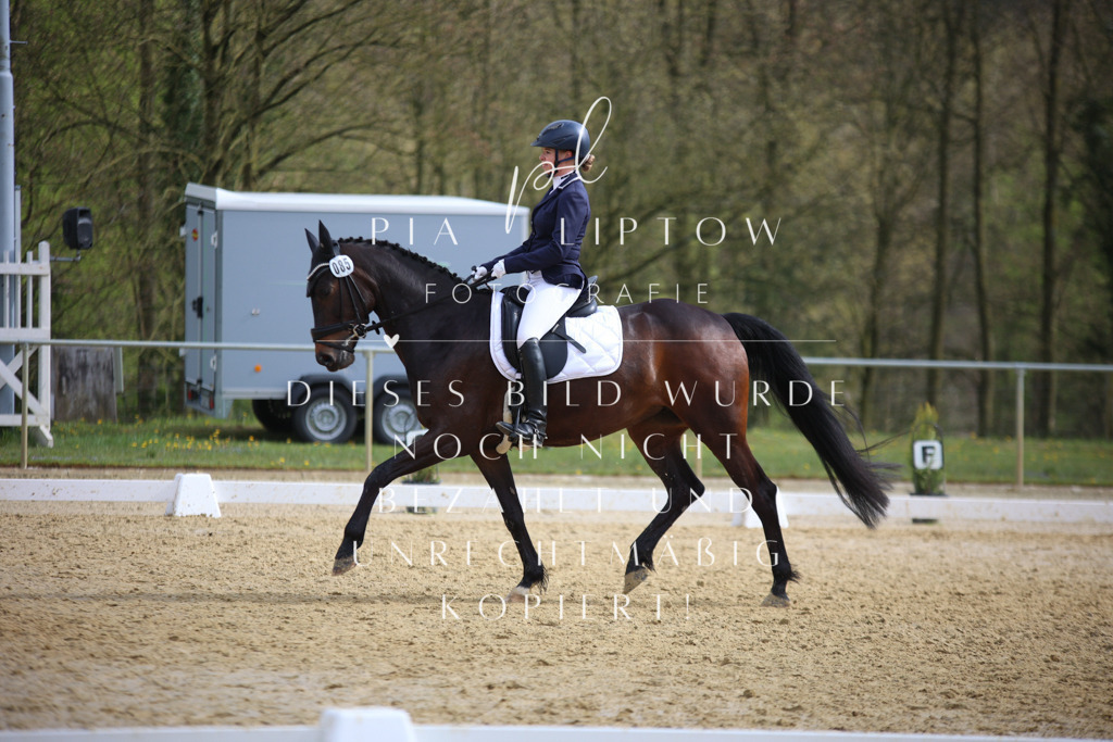 IMGT6122 | pl-fotografie