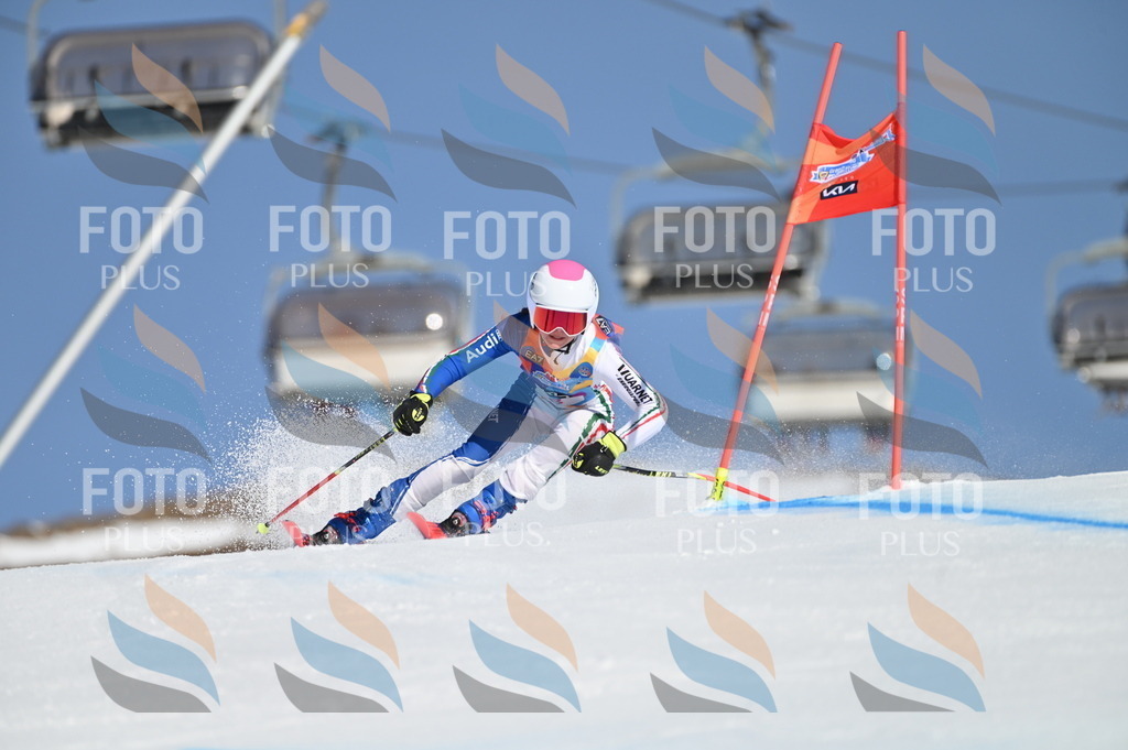 BGV_7700 | holidayphoto