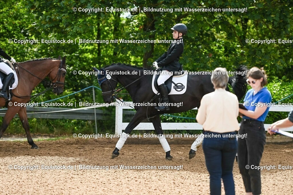 20230716_10-1_Reiter-WB Schritt - Trab - Galopp_0138 | equistock