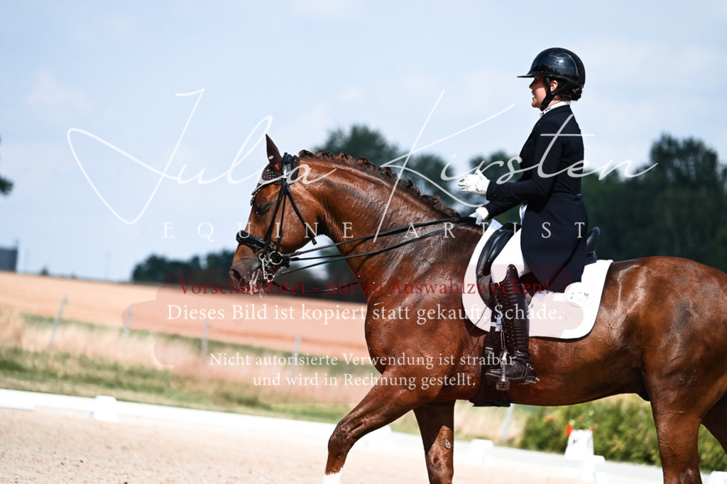 DSC_2887 | Pferde- und Turnierfotografie in Westsachsen. Pferdeportraits, Auftragszeichnungen und intuitive Kunst.