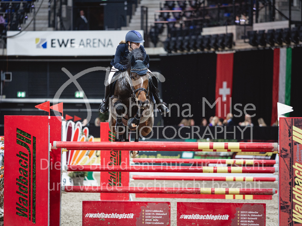231028_Oldenburg_S1-Spr_Amateure-197 | Deine schönsten Turniermomente als professionelle Fotos! Entdecke hochwertige Pferdesport-Fotografie im Online-Shop. Jetzt Fotos finden & bestellen!