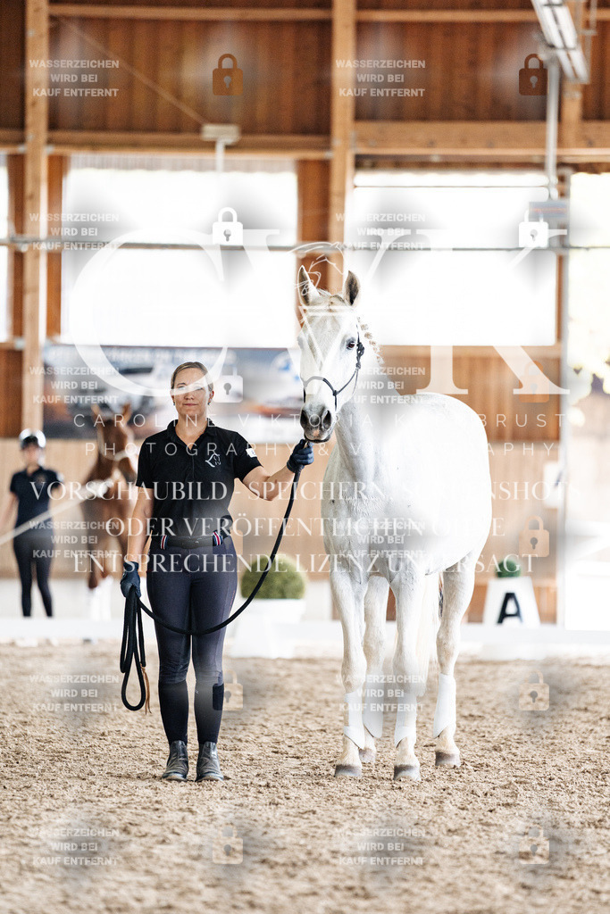 CK908219 | Turnierfotografie Pferdefotografie Trier Rheinland-Pfalz Pferdesport Reitsport Tierfotografie Sportfotografie Pferdevideo Pferdevideografie Equestrianvideography equestrianphotography  - Realisiert mit Pictrs.com