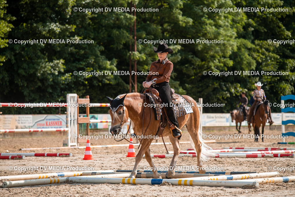 ZS3_9264 | dv-media-shop - Realisiert mit Pictrs.com