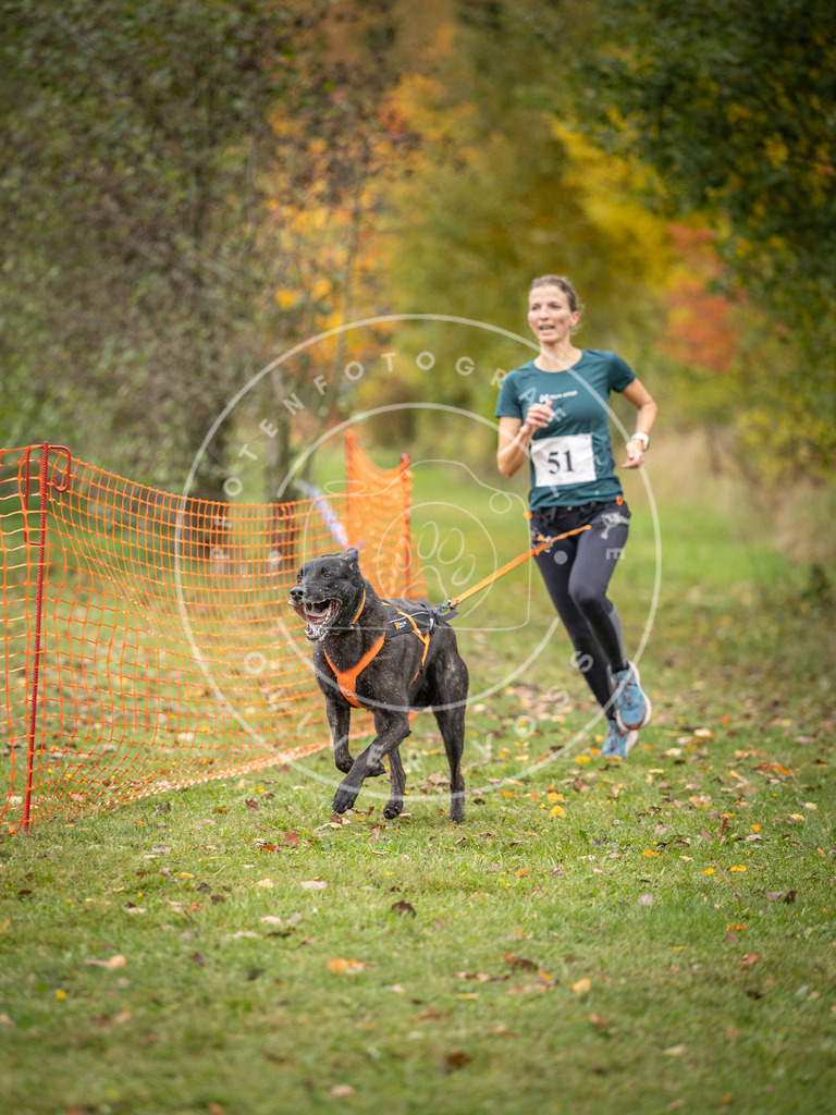 Pfotenfotografie_DV3A2483 | Hundefotografie, Tierfotograf, Pfotenfotografie, Fotoshooting Hund, Hunde Portrait, Hundesport, Hundeportraits, Heideshooting, Hunde, Sportfotograf, Hundefotograf, Turnierhundsport, THS,  - Realisiert mit Pictrs.com