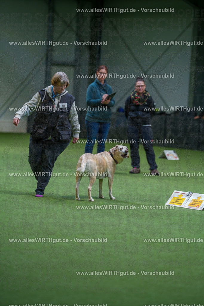 7R506308 | Professionelle Tierfotografie in Mönchengladbach von Daniel Wirth (allesWIRTHgut). Liebevolle & natürliche Bilder von Hunden & Katzen für unvergessliche Erinnerungen.