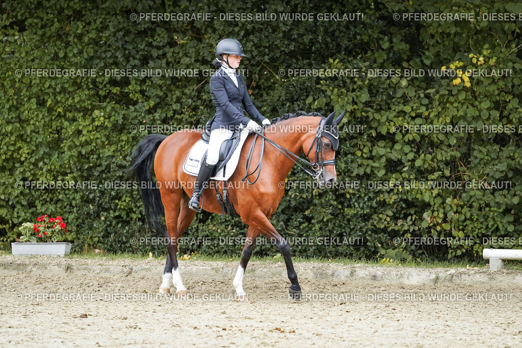 DSC01758 | Pferdegrafie