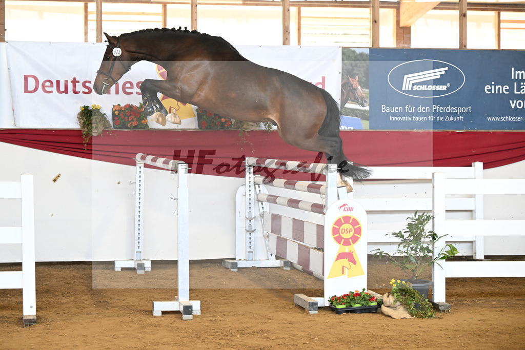 Kat-Nr. 24 Chaccalouu v. Conthalou_Rother-Link_16251053 | hf-fotografie - Realizzato con Pictrs.com
