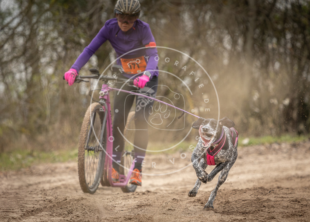 Pfotenfotografie_DV3A9919 | Hundefotografie, Tierfotograf, Pfotenfotografie, Fotoshooting Hund, Hunde Portrait, Hundesport, Hundeportraits, Heideshooting, Hunde, Sportfotograf, Hundefotograf, Turnierhundsport, THS,  - Realisiert mit Pictrs.com