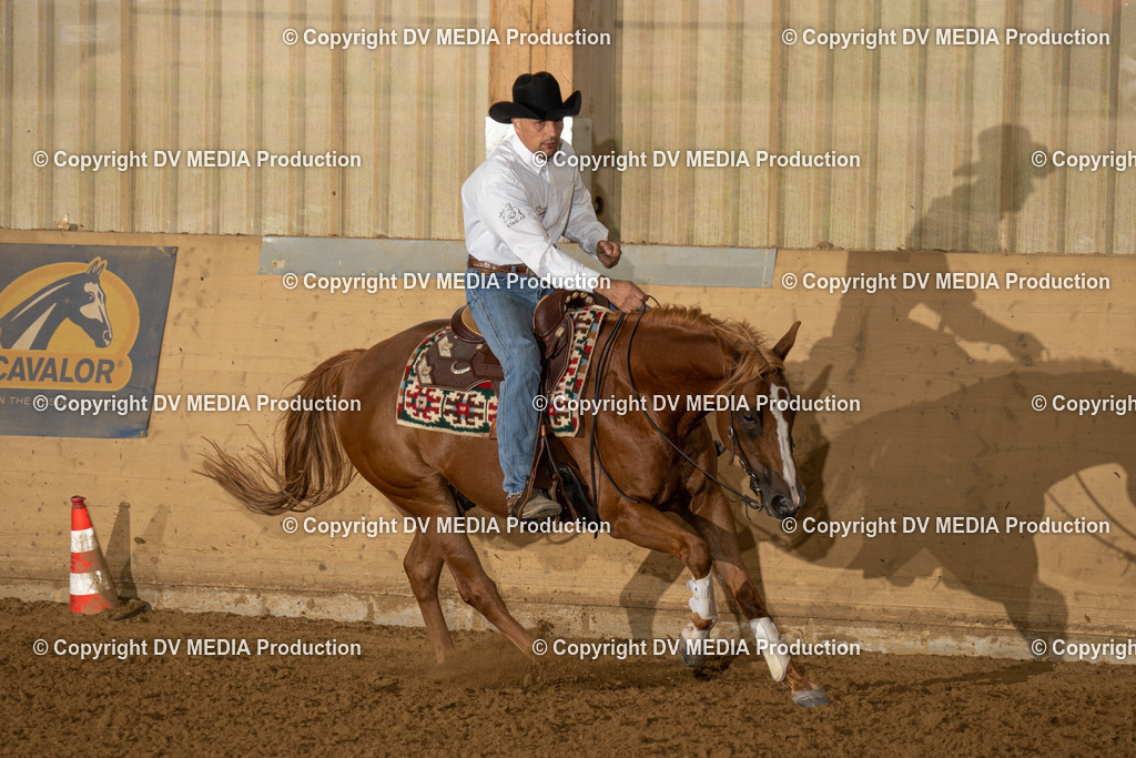 LAU00981 | dv-media-shop - Realisiert mit Pictrs.com