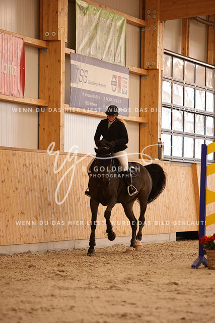 1J2A3255Alexa Burmeister_ Catania 131_ Kn091_ Hohen Wieschendorf_ Glantz | Foto- und Videografie für alles rund ums Pferd. Hochwertige Bilder und Videos vom Spring- und Dressurreiten, Voltigieren & mehr. Jetzt aktuelle Veranstaltungen und Preise im Shop ansehen. - Realisiert mit Pictrs.com