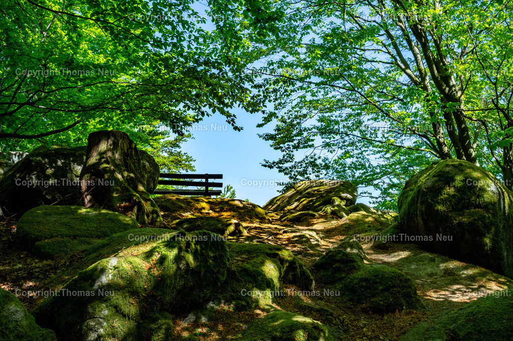 DSCF7343 | Lindenfels, Schenkenberg, ein wunderschönes Ausflugsziel mit herrlichen Ausblicken in den Odenwald  und auf Lindenfels,  Bild: Thomas Neu