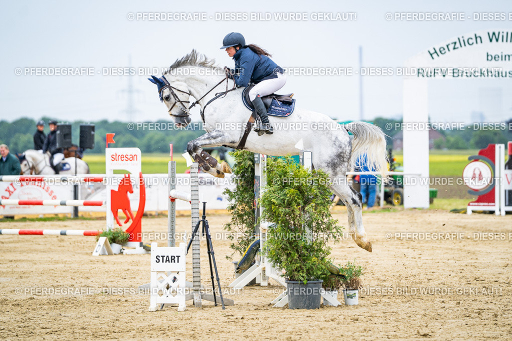 DSC07326 | Pferdegrafie